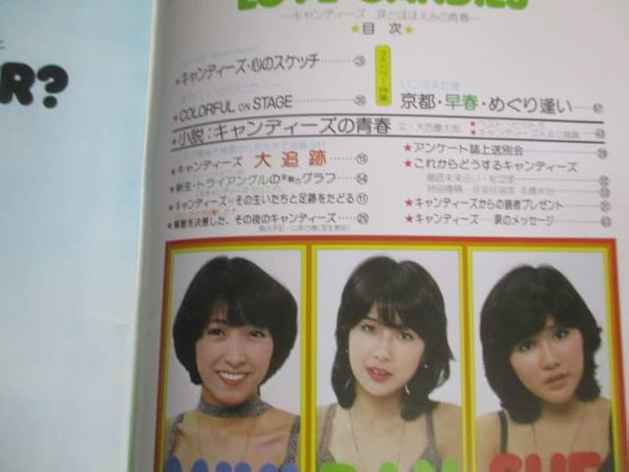 美品　東洋蘭専門誌　東洋蘭　専門雑誌　田中義一　東洋蘭朋友社　コンプリート 美品 東洋蘭専門誌 東洋蘭 専門雑誌 田中義一 東洋蘭朋友社